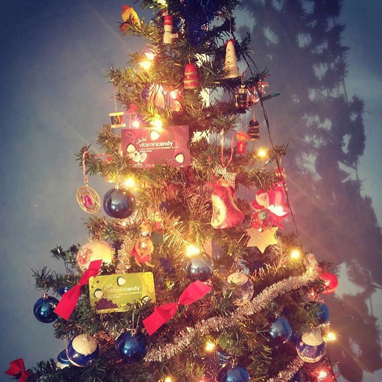 JVitamincandy's tweet photo. We're still here admiring these beautiful trees, how about you?🎄🎁
.
.
 #vitamincandy #Christmas #StockingStuffer #Holidays https://t.co/EECyIKgneE