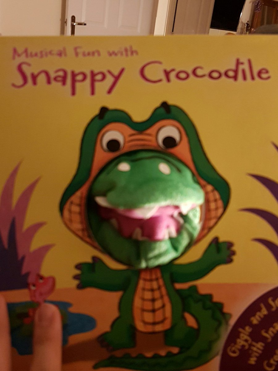 hlb83's tweet image. My son's disappointing Christmas present from @LidlUK; Snappy Crocodile book seems to be about Cheeky Monkey instead 😯 #manufacturingerror ?