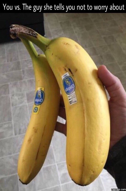 basicmemez's tweet image. Its a tough life #memes