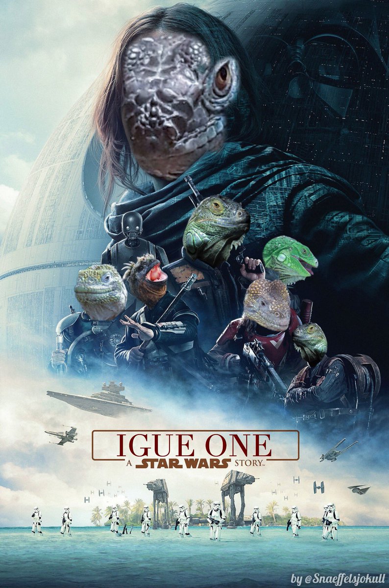 Lezards Hashtag On Twitter