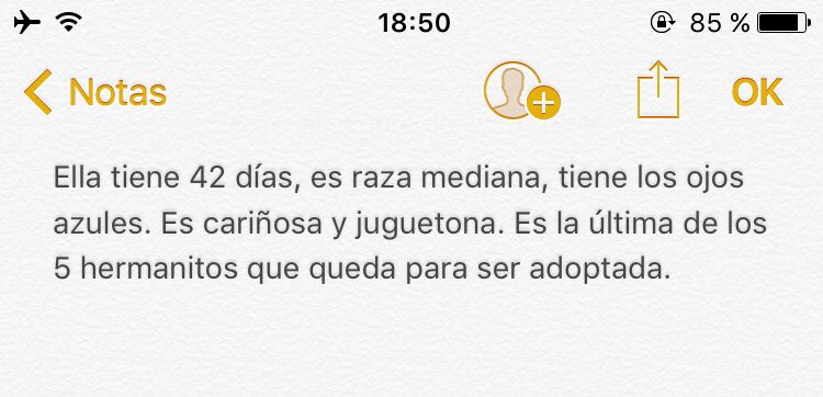 abrilgodirio's tweet photo. Hola! 
Necesitamos encontrarle un hogar!
(La regalamos!) 
Con un Rt nos ayudas❤️
Cualquier cosa comunicarse x direct @ColitasArriba (insta)💗 https://t.co/mPfE3OY2tU