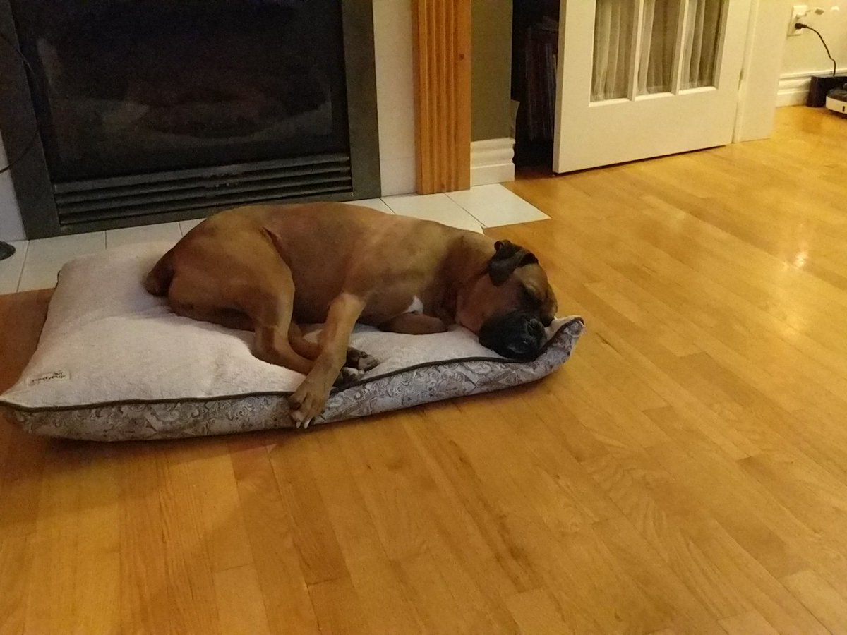 Christmas is sooooo exhausting