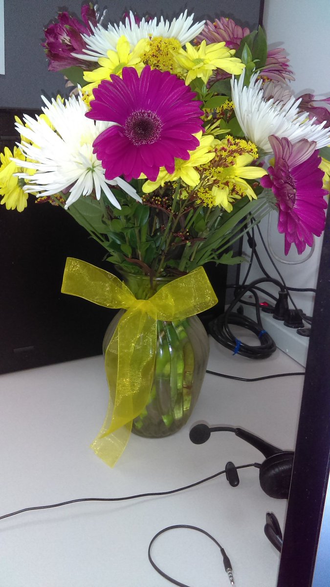 edithsv2016's tweet image. 