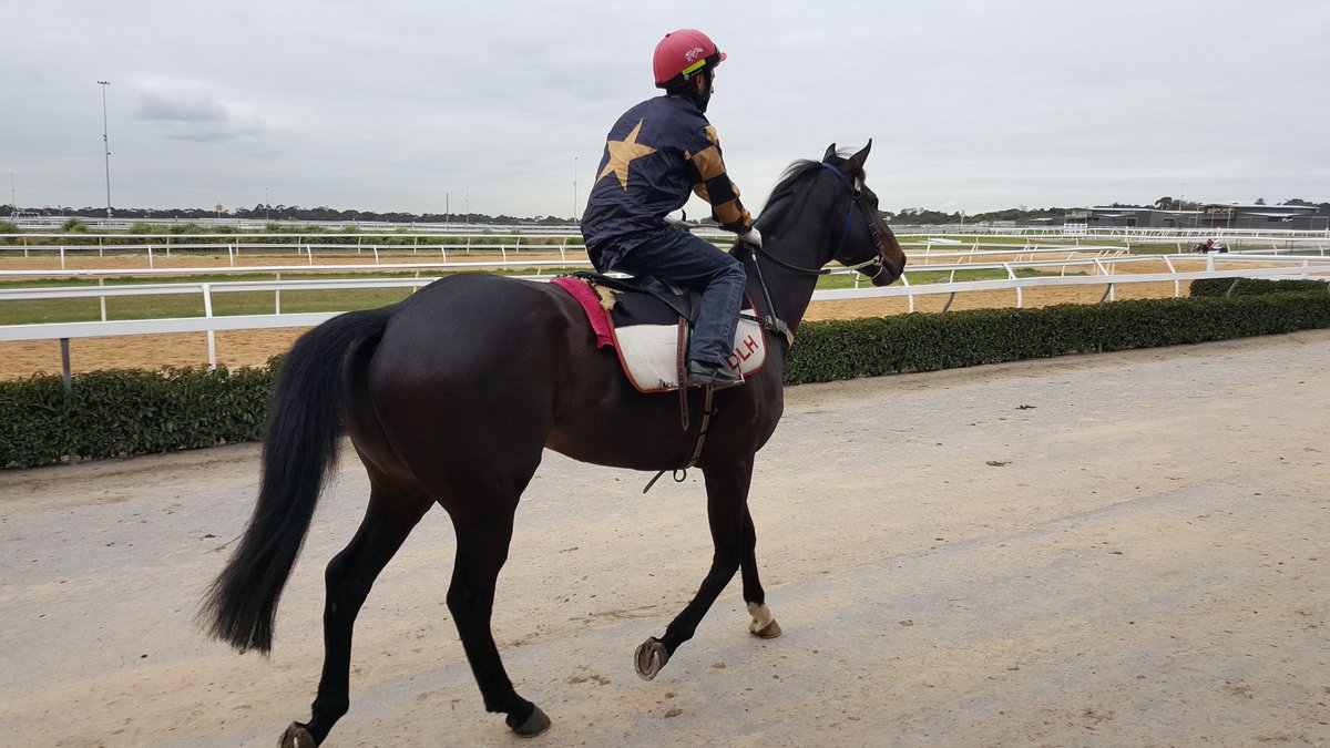GrandSyndicates's tweet photo. 3 Team Grand runners today!🏇
Will Media Maid, Bizarrre & Royal Volley continue the #DecemberDomination?!🔥
Good luck to all our owners!🏆 https://t.co/2U2ijvqm6o