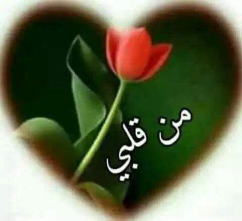 Samir Faouzi (@faoizisamir) on Twitter photo 