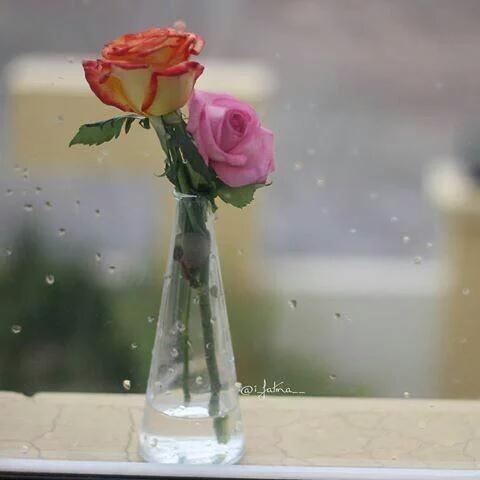 خذ من اليوم عبره وخذ من الامس خبره 
الدنيا مساله حسابيه اطرح منها التعب والشقاء 
واجمع لها الحب والوفاء 👌
صباح الخير