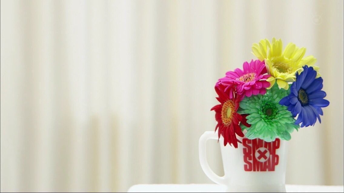 AmnosAka's tweet photo. ガーベラの花言葉💐
『希望』・『常に前進』 https://t.co/6zKj9QRXdG