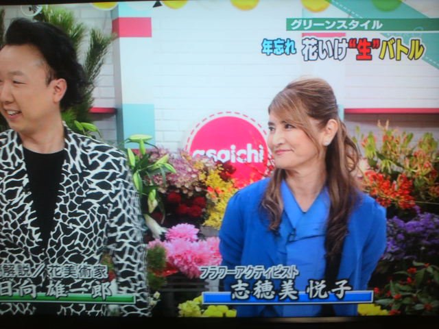あさイチ に志穂美悦子さんが出演 生け花なのに逞しい 花生けながら動きがアクション女優 Togetter あさイチ に志穂美悦子さんが出演 生け花なのに逞しい 花生けながら動きがアクション女優 Togetter