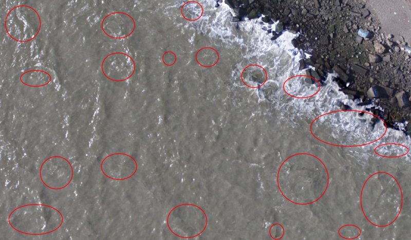 DroneDeploy tweet media