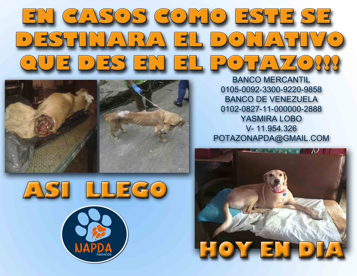 #potazoenmerida #fundacionnapda #colabora #datuaporte #ayuda #esteriliza #apadrina 
av las americas semaforo de mc donald
habra vacunacion