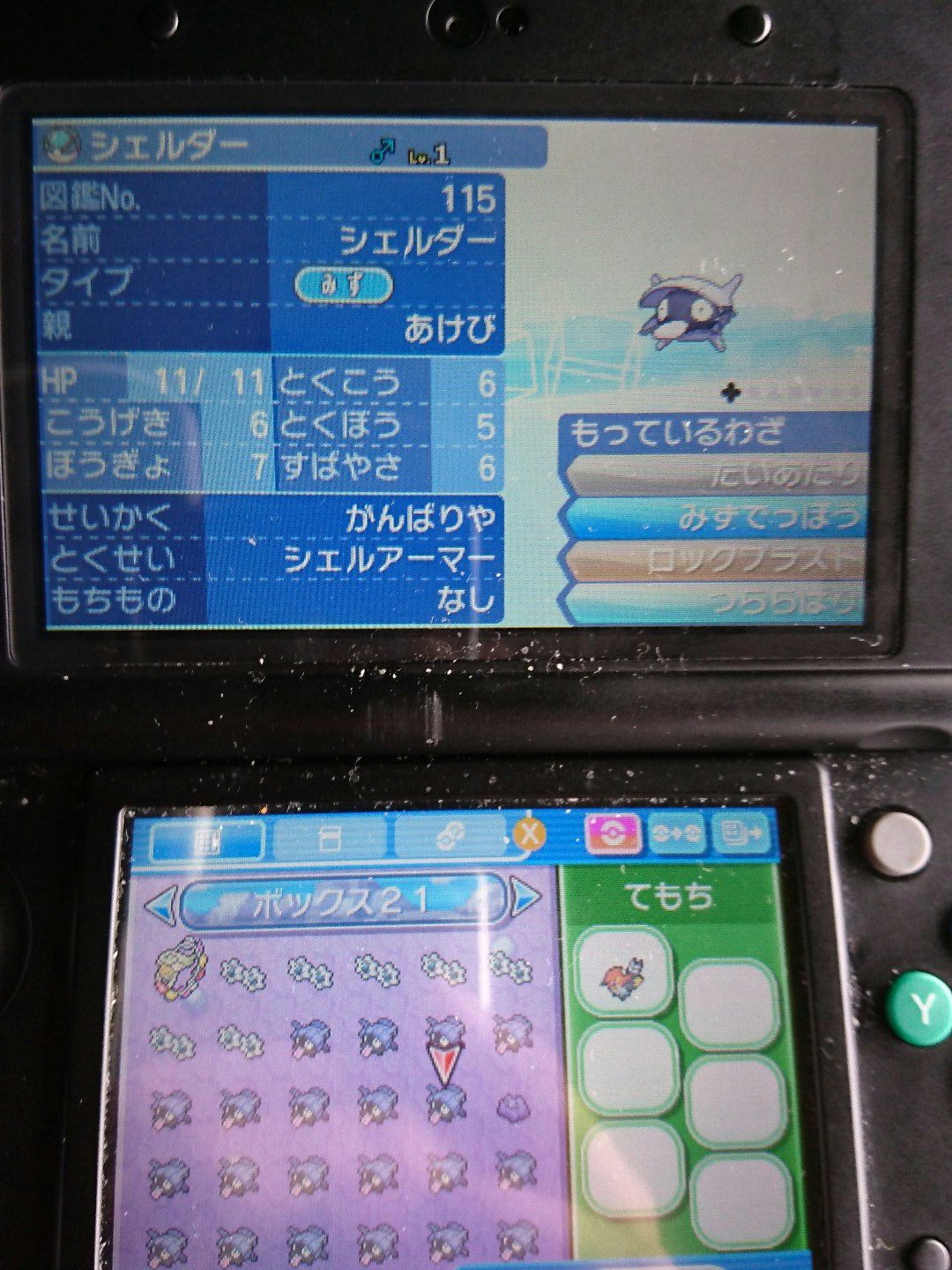 توییتر 双月 در توییتر 今回はコイツら配布します 4 5vロックブラスト遺伝シェルダーです スキルリンクじゃない個体が多いです ごめんなさい いつも通りリプライ頂いた方に順番にお配りします なくなり次第終了です 是非リプライください ポケモン交換