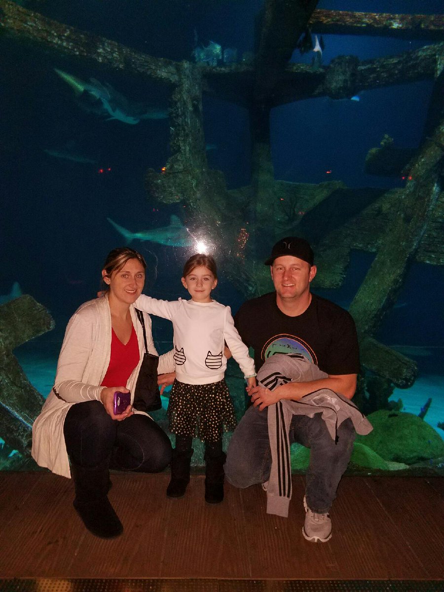 dm200k's tweet photo. Mandalay bay shark aquarium https://t.co/XWh6nZaGUv