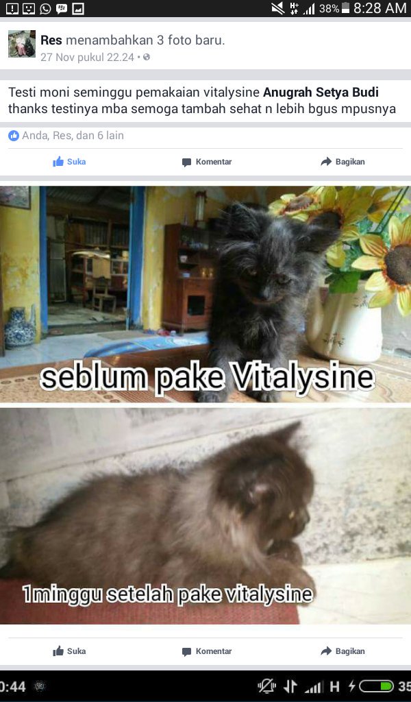 Lyvitplus's tweet image. 