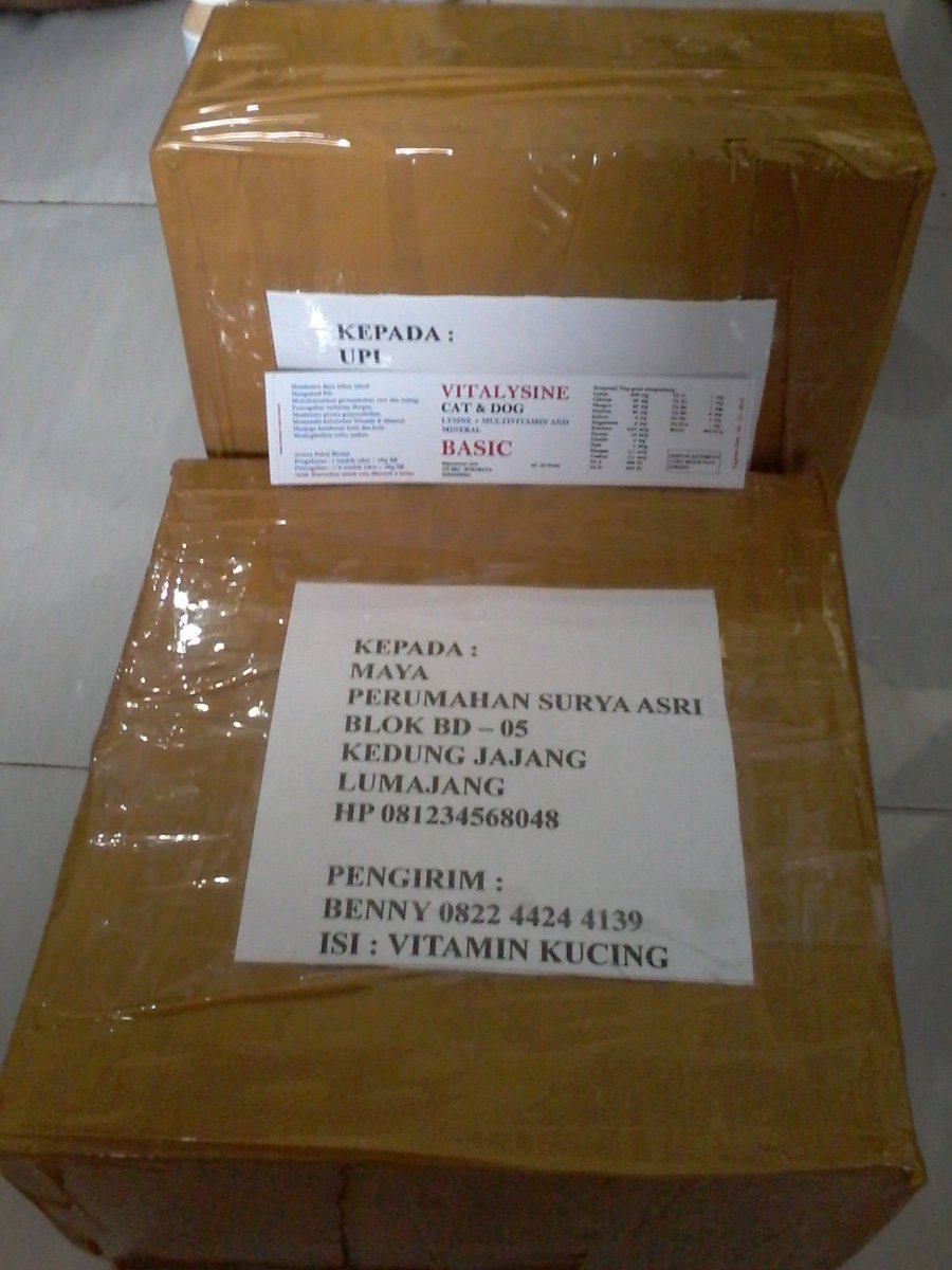 Lyvitplus's tweet image. 