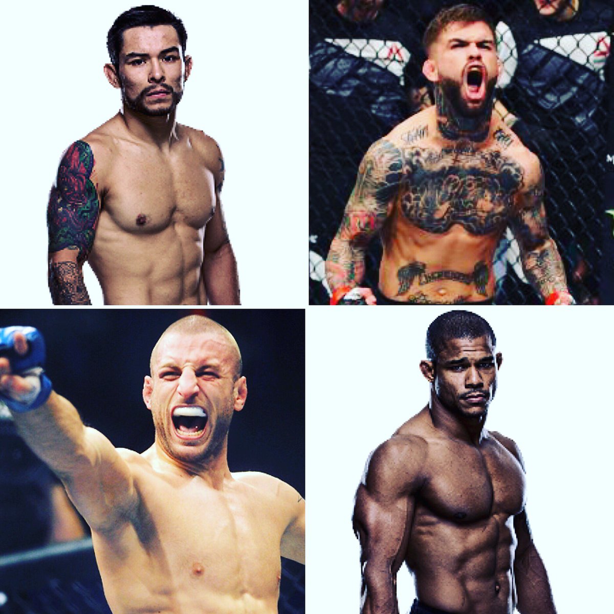 A little taste of this weeks FitnessVT roster working with <a href="/LOCKloaded/">George Lockhart</a> ! #tarec #alexgarcia #rayborg #codynolove