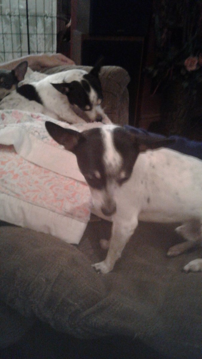 alias_beth's tweet image. Otis Campbell