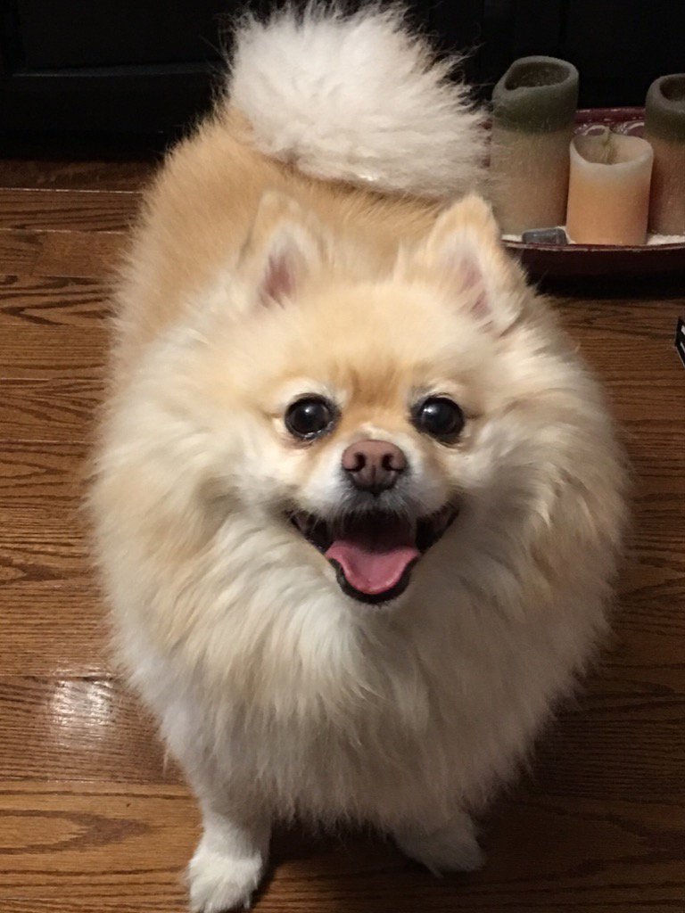 Peter DiFranco (@difrancop) on Twitter photo 