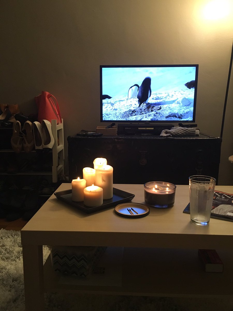 WatchOutForAnna's tweet image. Candles are lit and penguins are derping about on Frozen Planet. All I need now are some knitting needles and a kitty. 😁