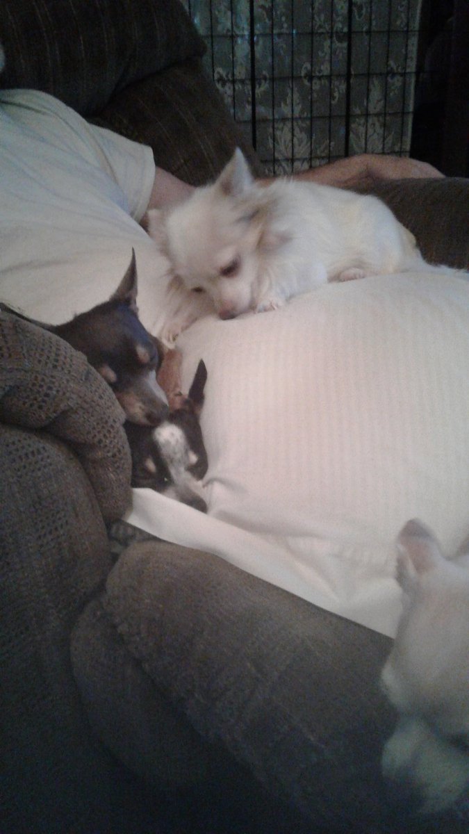 alias_beth's tweet image. Brotherly  Love Barney &amp;amp; Otis