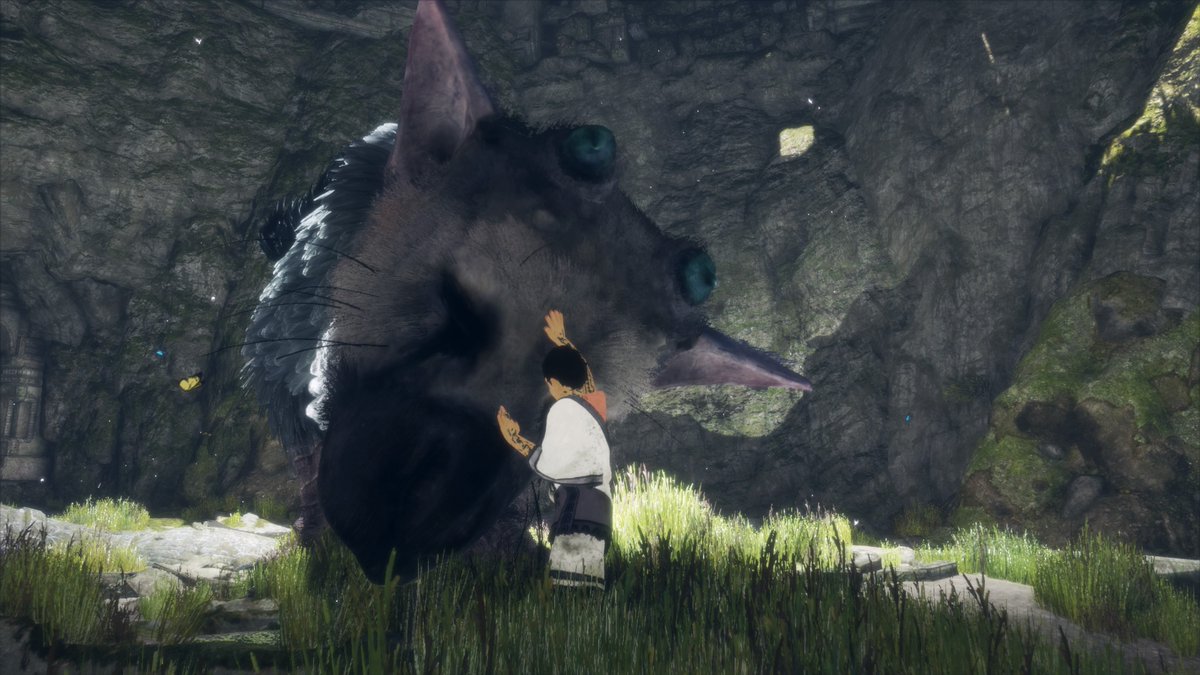 FuturePress  The Last Guardian