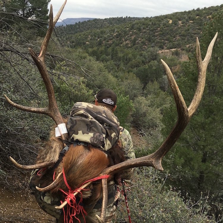jnewnew4's tweet photo. Ended an epic hunting season on the second day of an AZ late rifle bull elk hunt. 550 yard shot from my .300 WM topped with a Vortex HS-LR https://t.co/3lrZblqB6i
