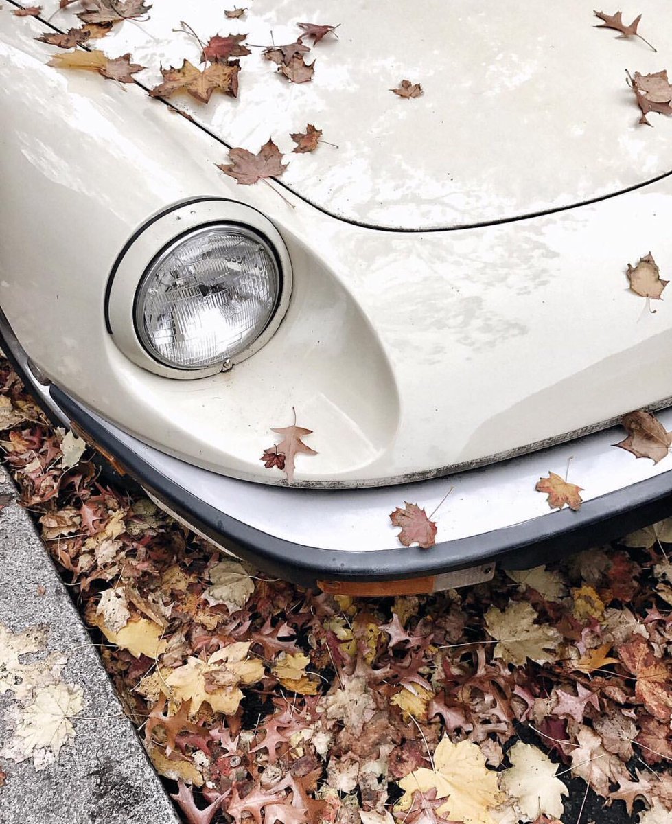 AldoraMuses's tweet image. darlingmag: #DarlingIssue18 is now available for preorder &amp;amp; we are SO excited to share it with you! Shop link in o…