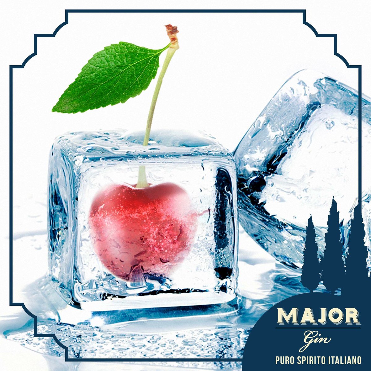 majorginIT's tweet photo. #majorgin #gin #major #cherry #lake #majorlake #ice #bartender #mixology #barman #barlady #purospiritoitaliano #themajordifference #italy https://t.co/A5oepPupdT