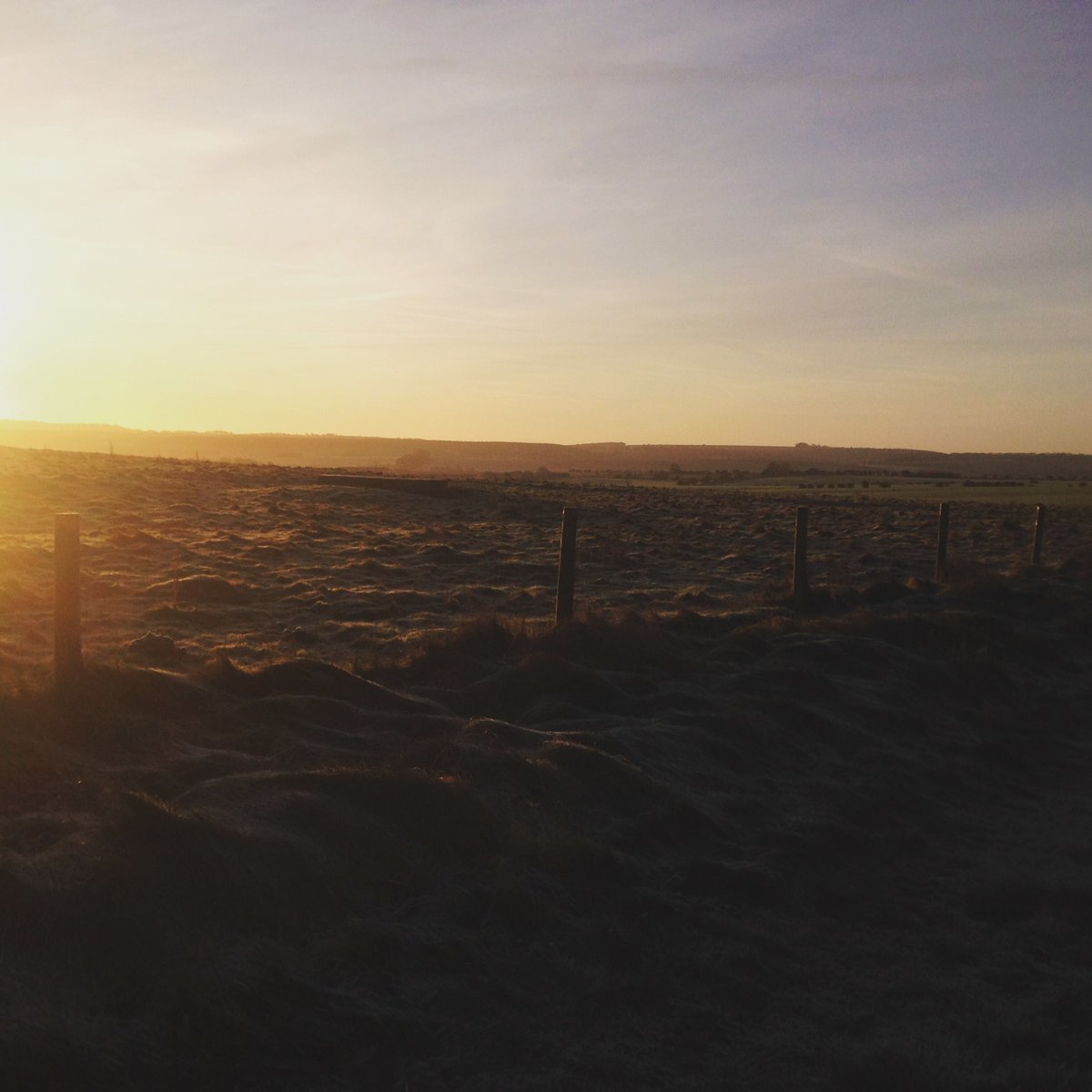 Laura Fidler tweet media