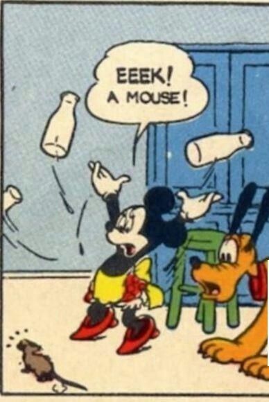 MyQuickSearch's tweet image. Just Disney things. Nothing to see here folks.

Looking for pest control services?
buff.ly/2igGIVg