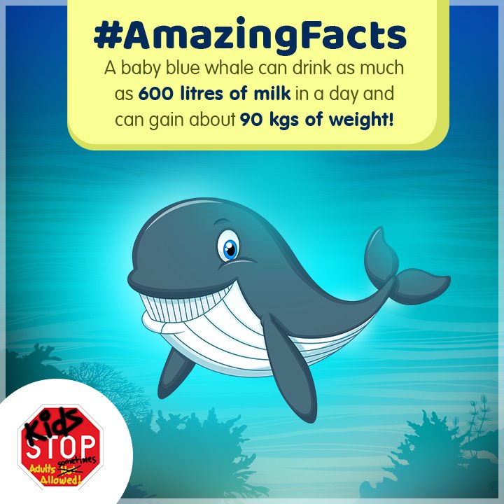 KidsSTOPSG's tweet photo. Now, you know the secret of the largest sea mammal! ;) #ScienceFacts #AmazingFacts https://t.co/zrwHxsbNQu