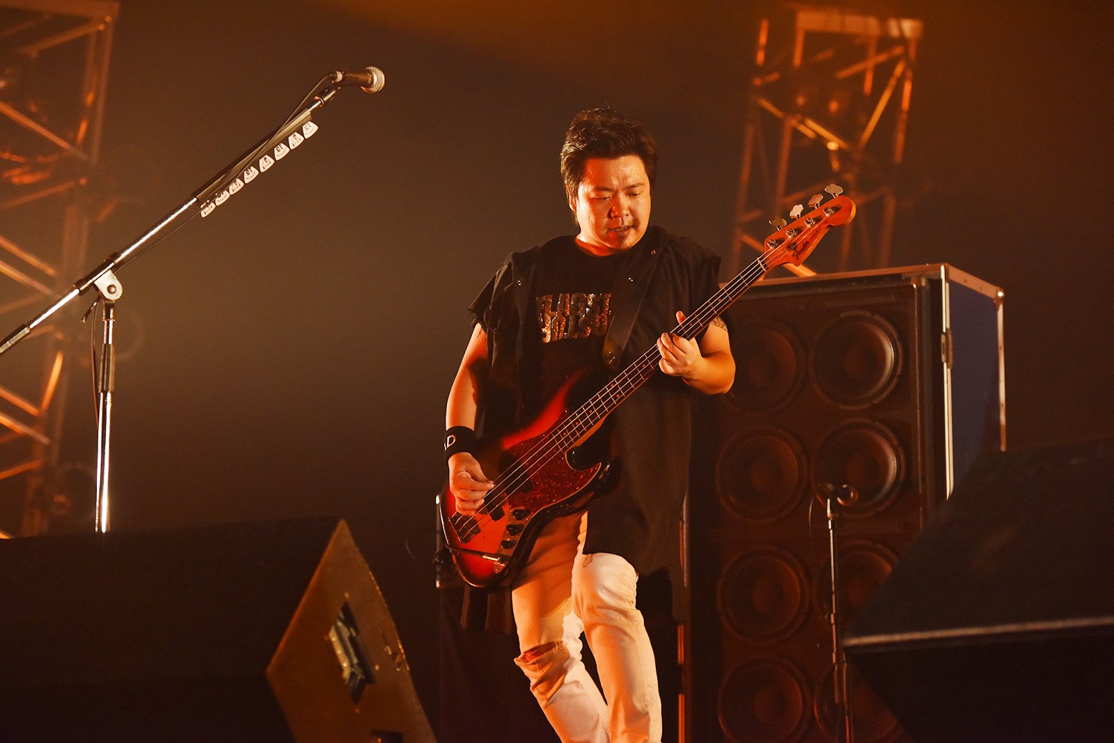 Fender （フェンダー） on X: 