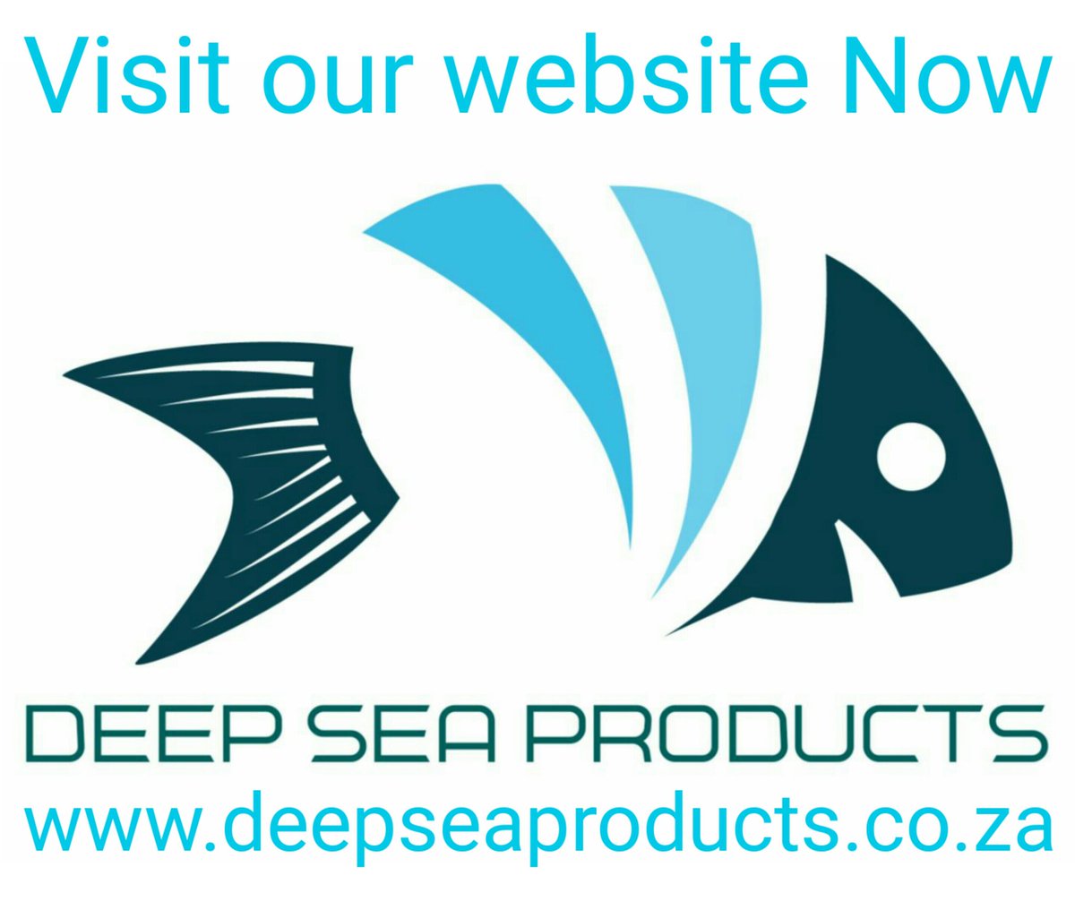 deepseasa's tweet image. 