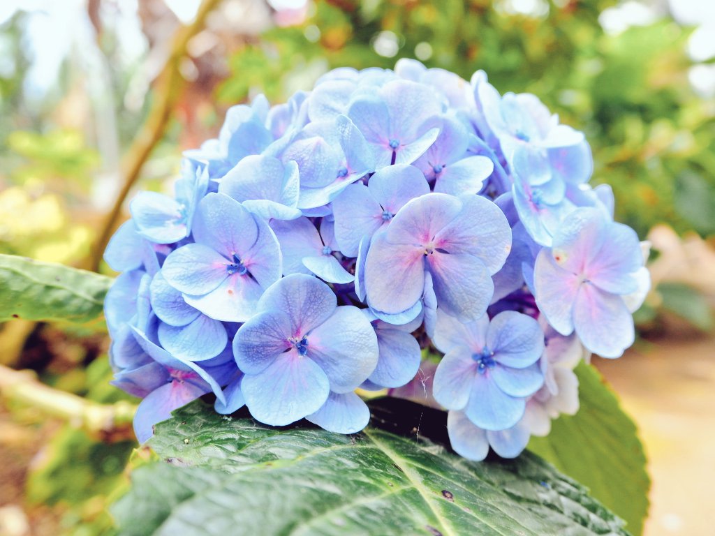 sweettyafter's tweet photo. #รีวิวเชียงใหม่ 
หลงรักธรรมชาติ หลงรักประเทศไทย https://t.co/KpWCUmqV7F