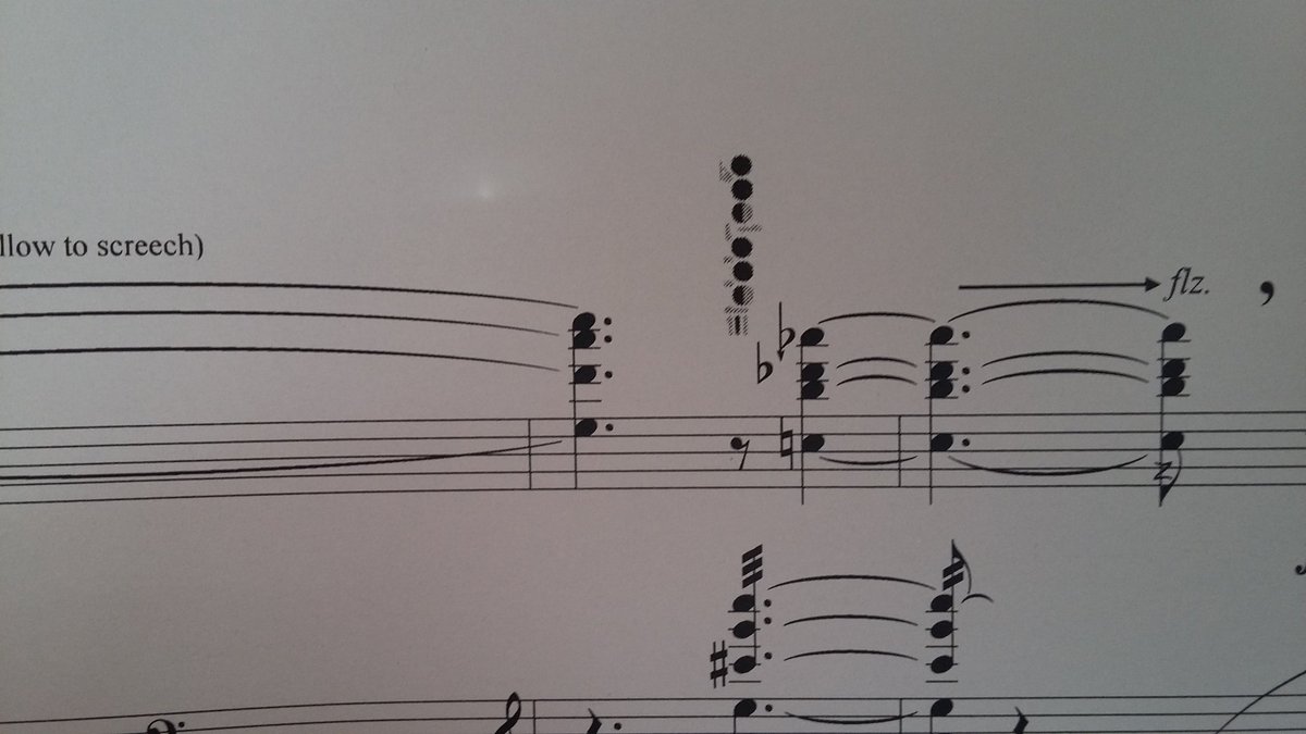 FluteColors's tweet photo. #multiphonic time! #FluteColors #extendedtechniques https://t.co/LiZmBKR0Ou