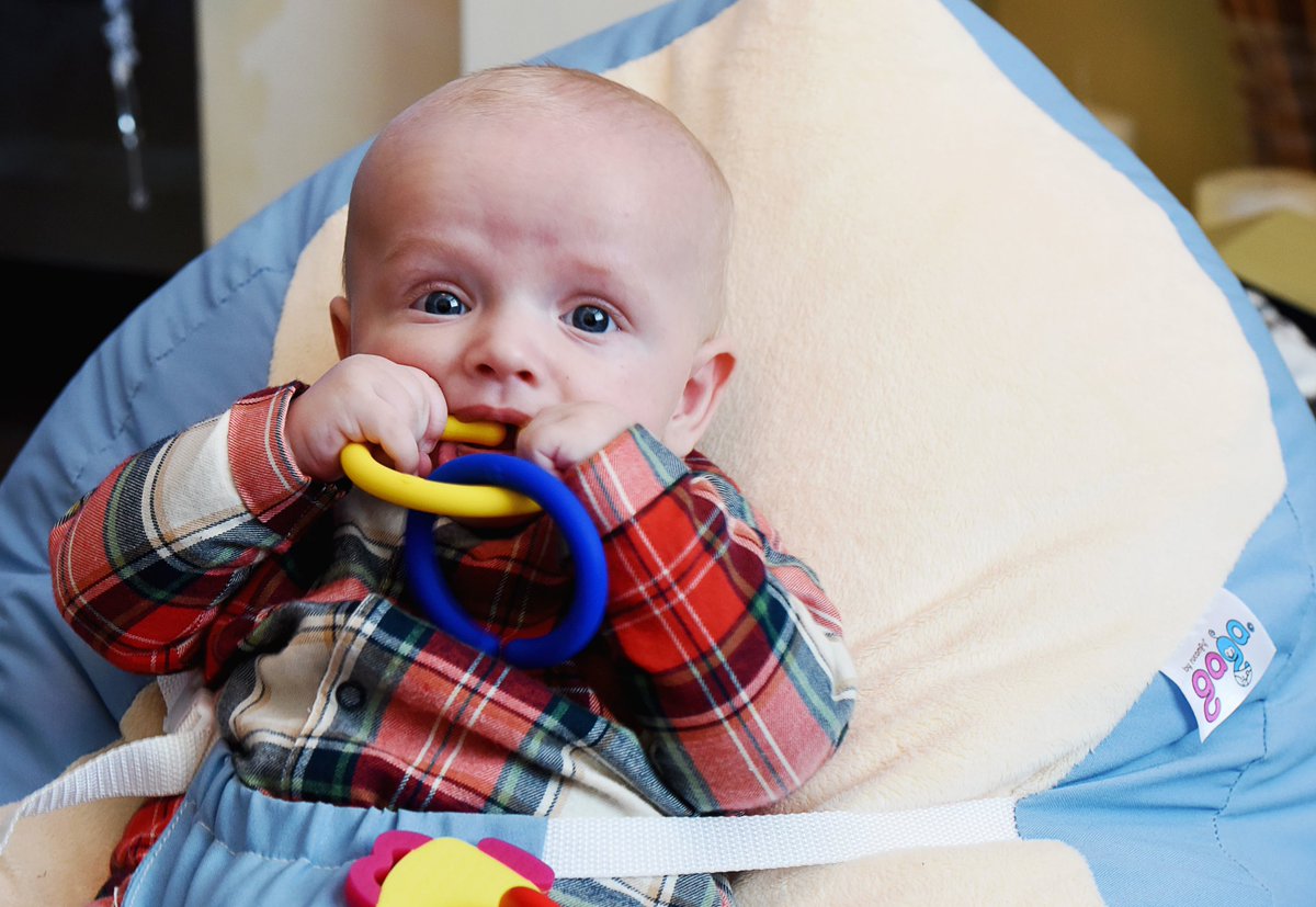 Kelly Reeves tweet media