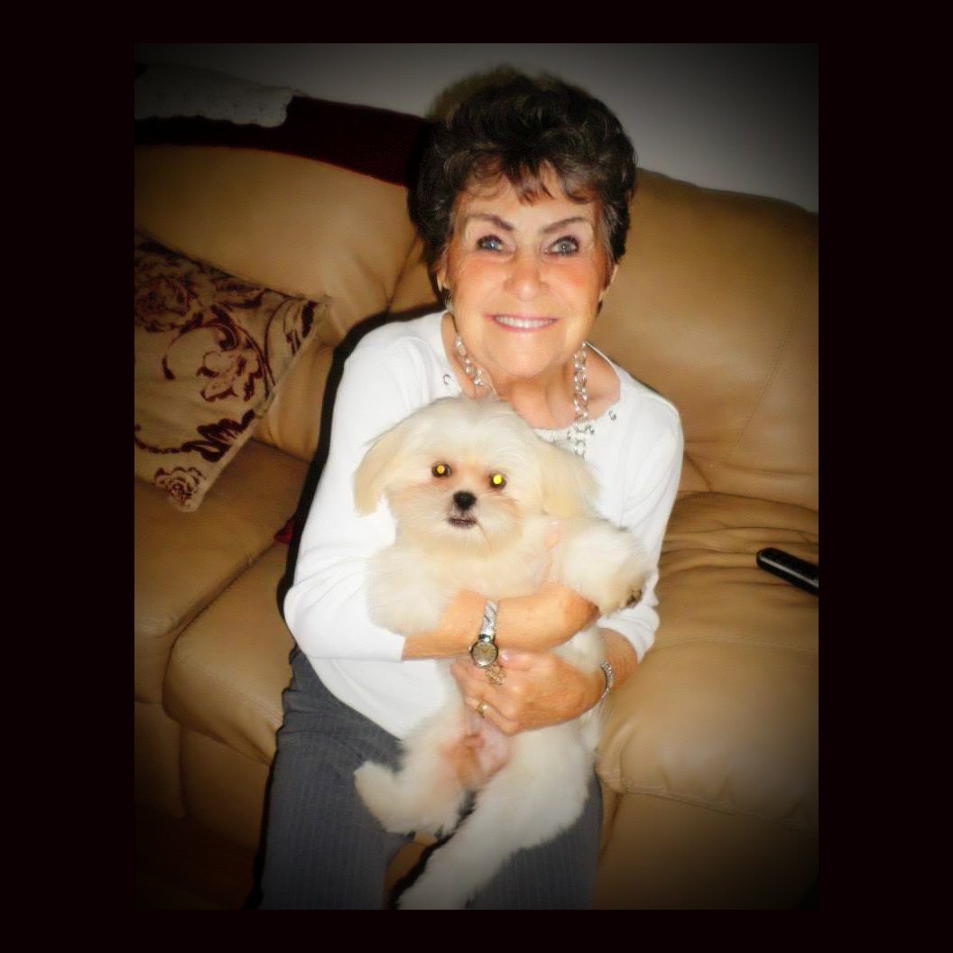 PSP_FL's tweet photo. Seniors get 10% off every Tuesday at Pet Supplies Plus! #seniordiscount #stpete #clearwater https://t.co/7sHZgTLZtC
