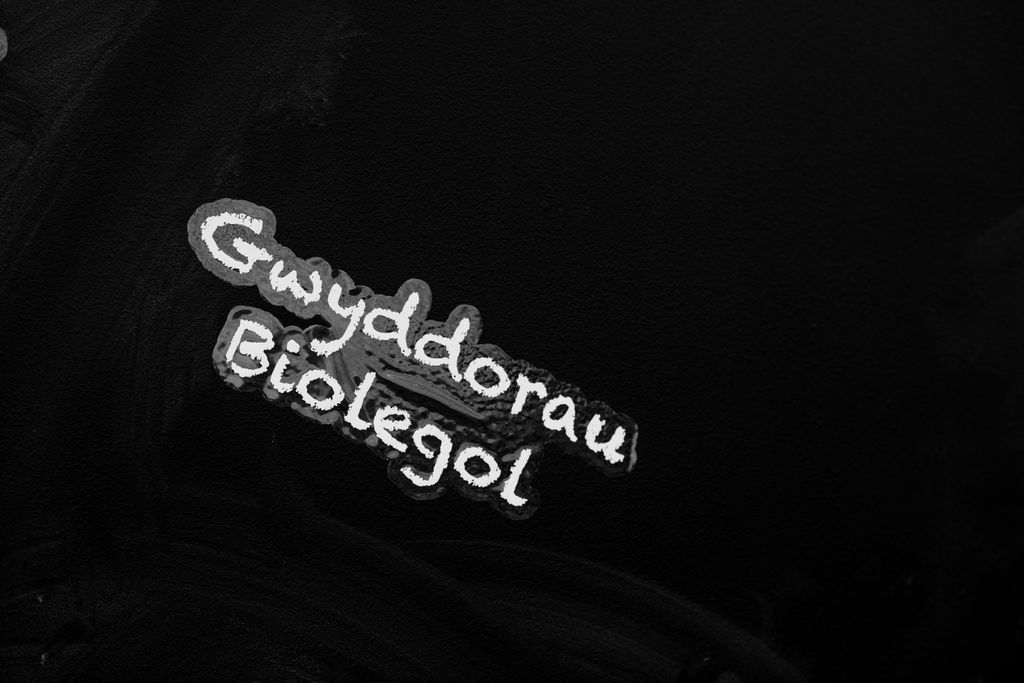 Mae modd astudio meysydd mor amrywiol â'r #gwyddoraubiolegol drwy'r Gymraeg bellach! Cer i'n gwefan i ddysgu mwy bit.ly/2fTHHMM
