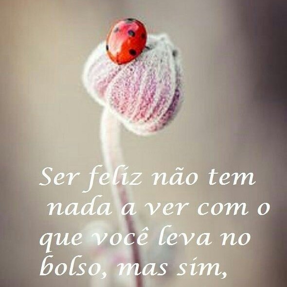 Tim Beta Labs #SDV (@clovisforro) on Twitter photo 