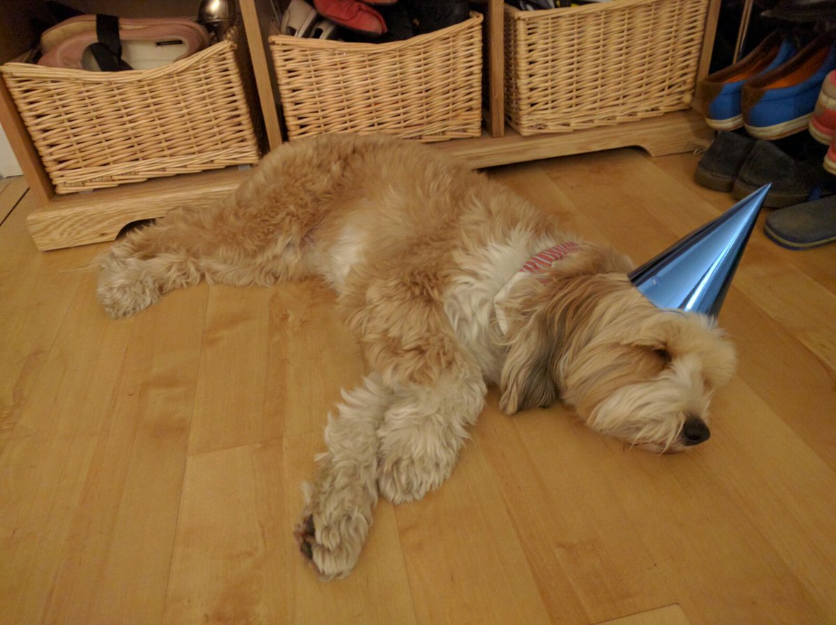 Yogiloki tweet media