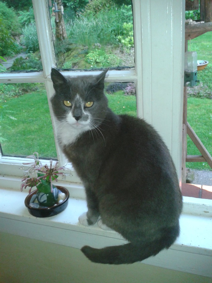 graysonlarkin's tweet image. I slave at filthy work, that might
Be done by any book-drunk freak.
This goes on ‘till I kick the bucket:
FUCK IT FUCK IT FUCK IT FUCK IT.