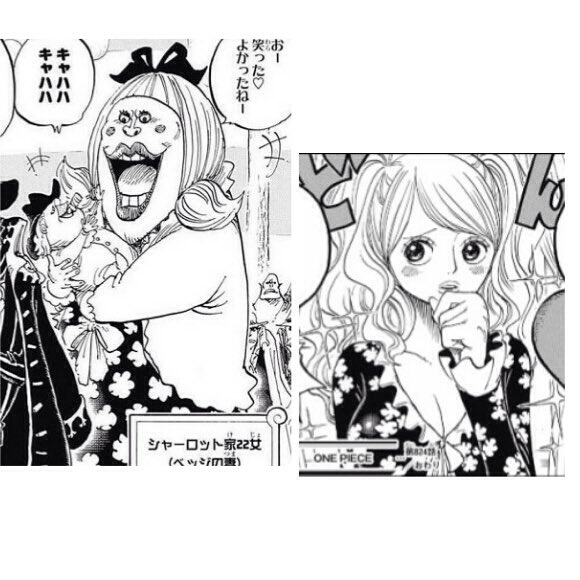 ワンピース 扉絵を一覧で紹介 伏線や何を意味してるかを考察 15ページ目 Selvy