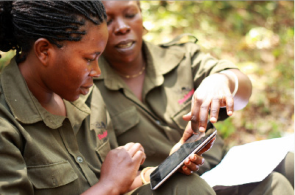 glc_bambino's tweet photo. Global Forest Watch Highlights from 2016 https://t.co/CL7ZY4aKUM via @globalforests #forestry #AppsAndTools https://t.co/uMYilqWL79