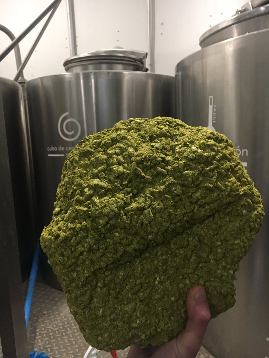 tserb's tweet photo. Último día de elaboración de este año de mierda!!!!
#Orbigo valley#Fábrica Maravillas#tserb#malasaña https://t.co/lnzbdaakH7