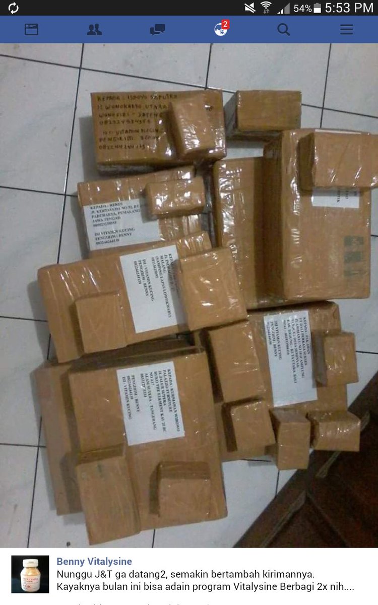 Lyvitplus's tweet image. 