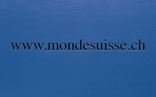 hg_spotnet's tweet photo. #monde #suisse #domainname #for CHF 890 https://t.co/B2kCpd5zyT