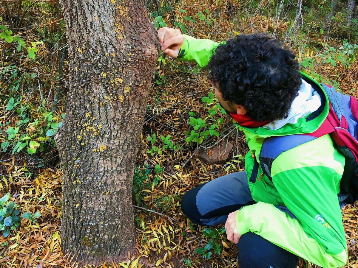 Els rastres ens diuen moltes coses i els alumnes queden meravellats dels secrets que amaga la natura #ecamontsant #rastres #boscmediterrani