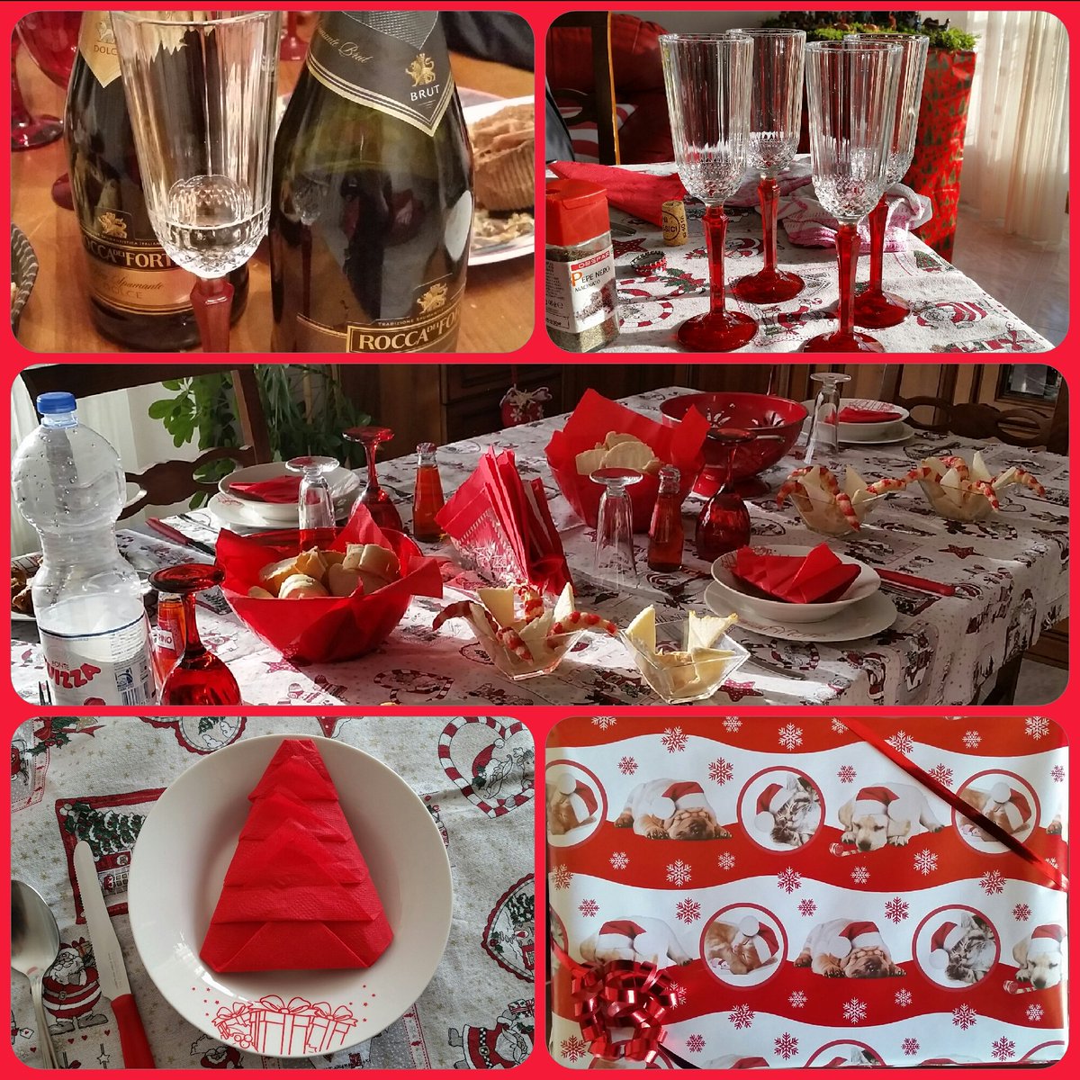 Veronica GiurichPica tweet media