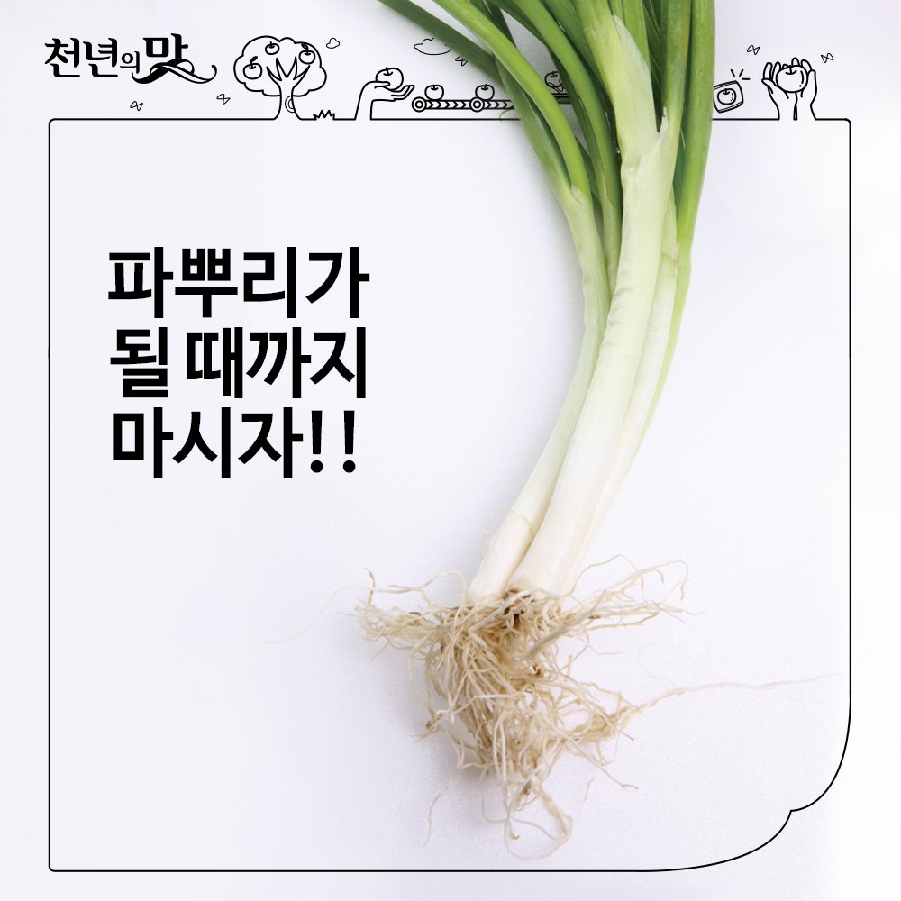 면역력이 떨어지기 쉬운 겨울
파뿌리는 감기에 효과가 있고
피로회복 및 피부관리에도 효과가 있다.