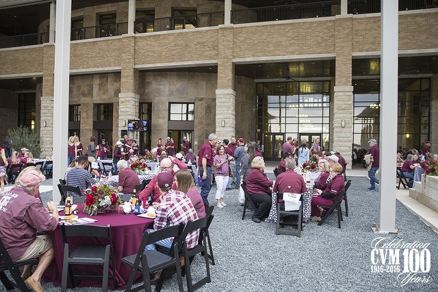 tamuvetmed's tweet photo. 11/12/16: #CVM100 continued when the CVM held a Tailgate at the new VBEC during the Ole Miss home game. #2016inReview #TAMU https://t.co/KqbQYLm8jH
