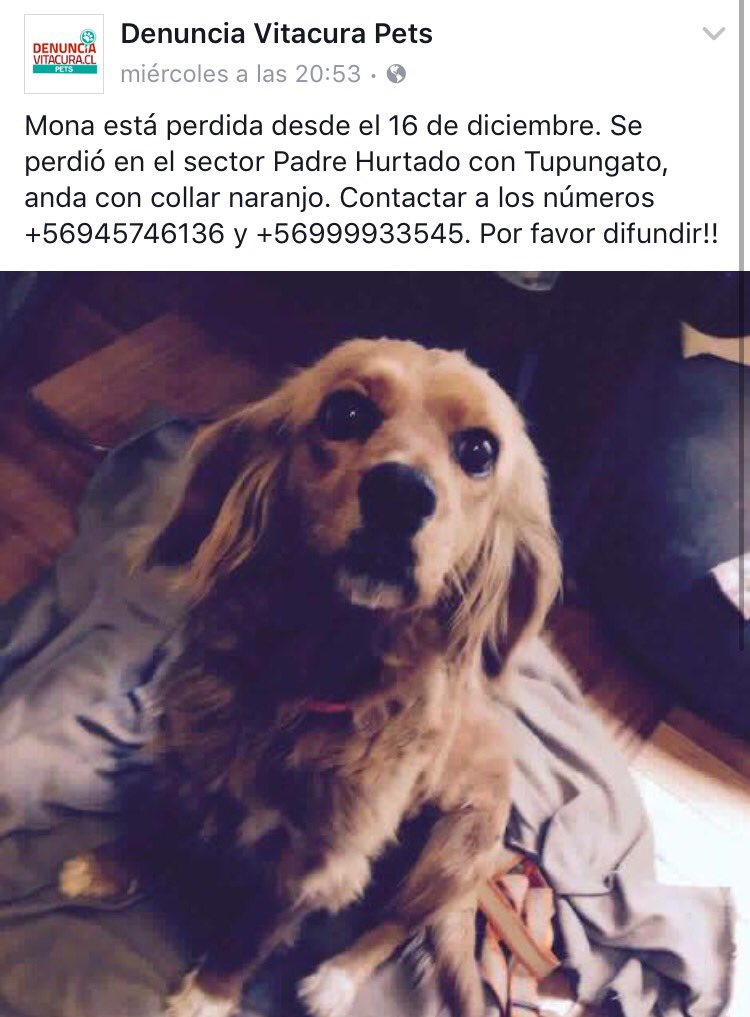 Paula BotasPuestas tweet media